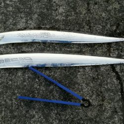 ケーソン、朝にタチウオの時合いありました。